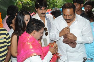 Jalsa Rayudu Movie Opening